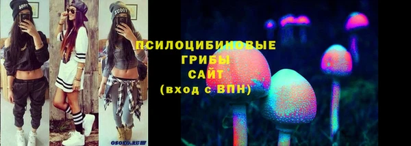 прущая мука Кинешма