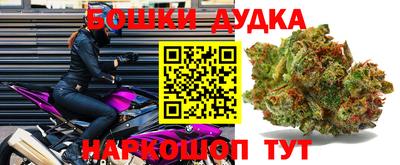 индика Малоярославец