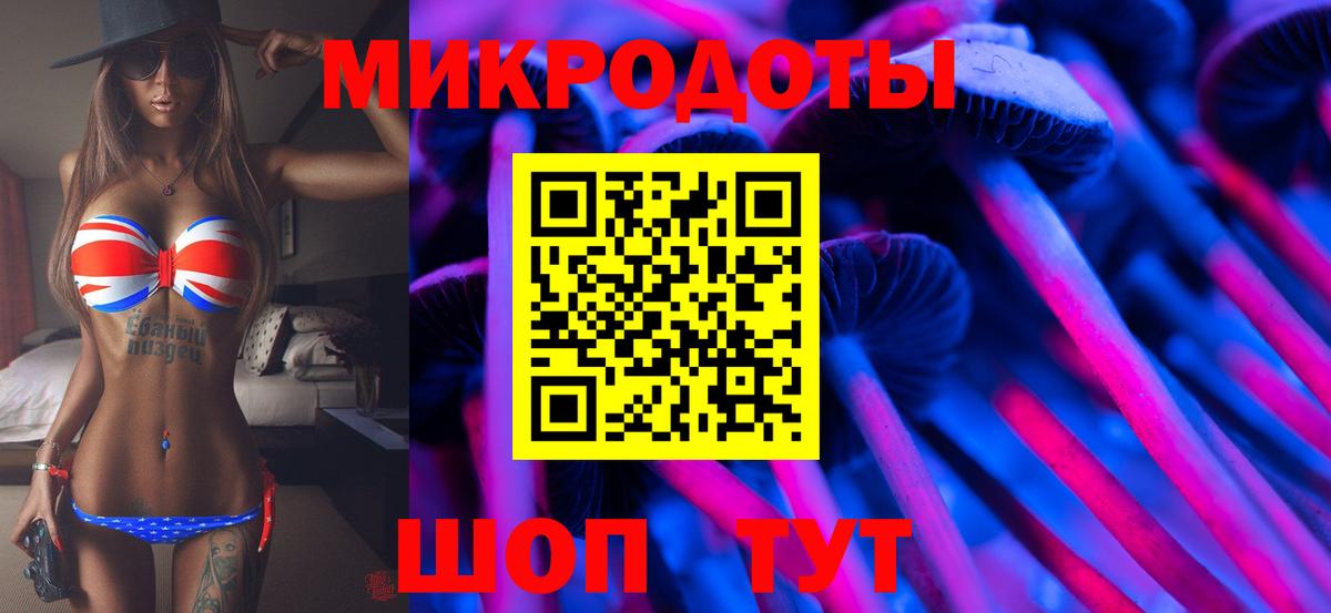 Нижний Тагил  Псилоцибиновые грибы Psilocybine cubensis  хочу   Вход с VPN 